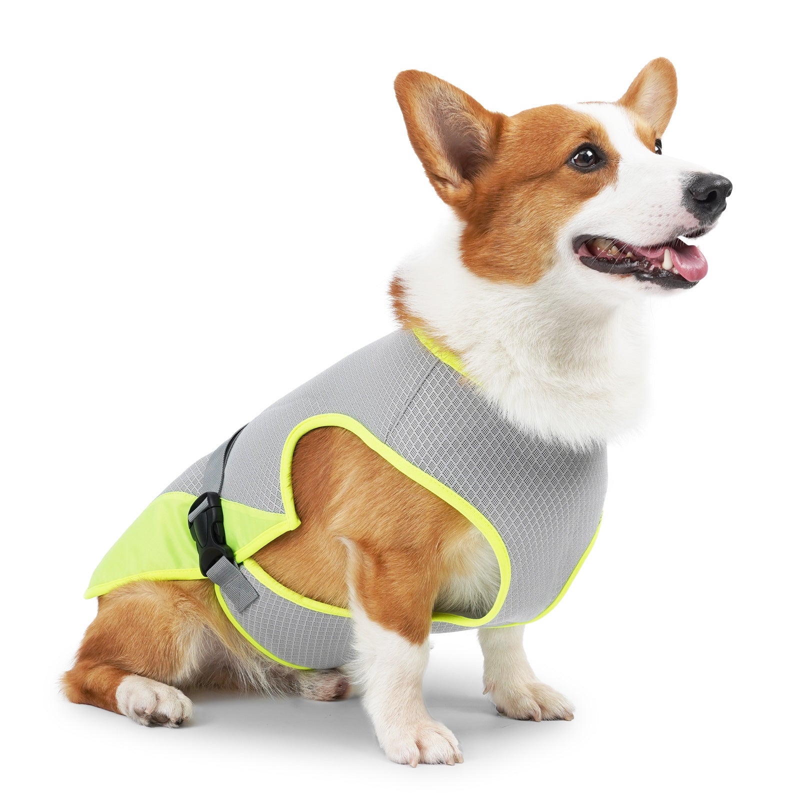 Dog Cooling Vest