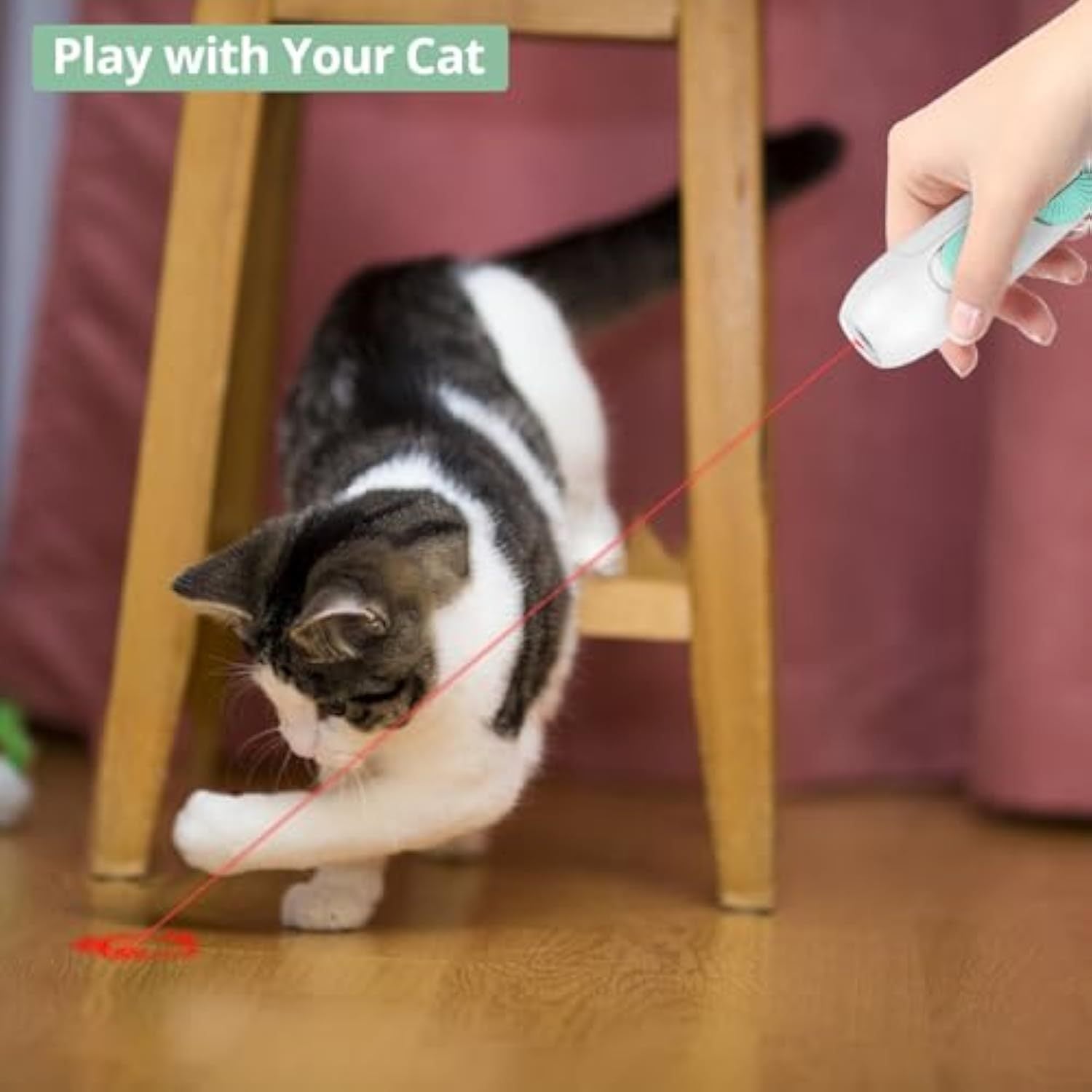 Interactive Laser Toy 2 in 1