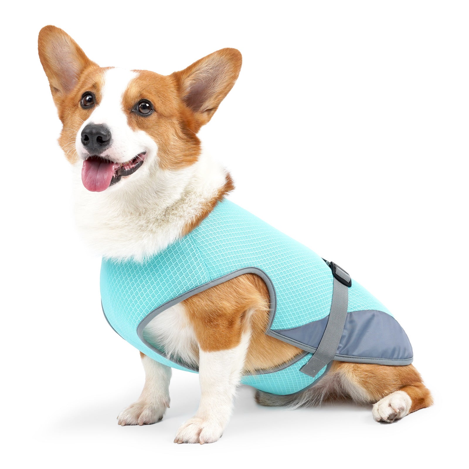 Dog Cooling Vest