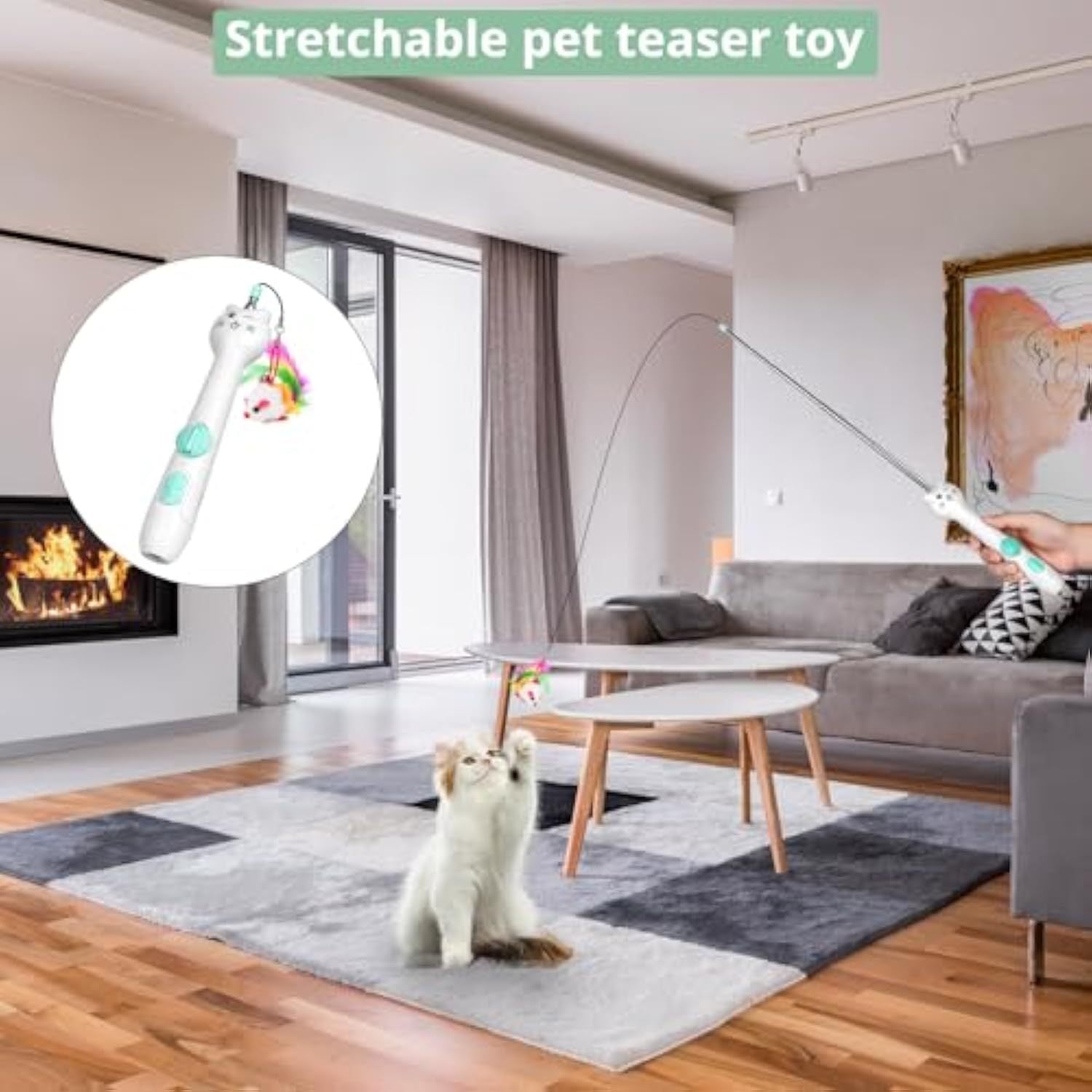 Interactive Laser Toy 2 in 1