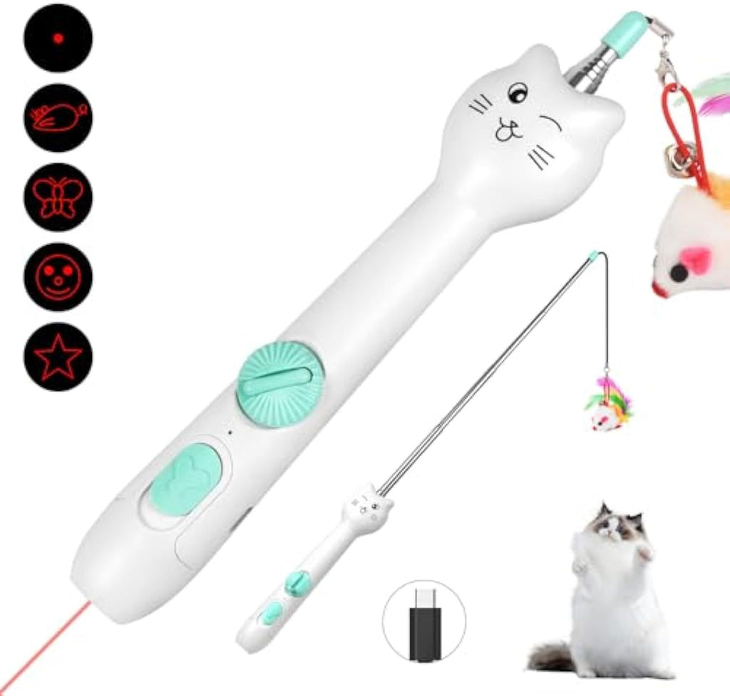 Interactive Laser Toy 2 in 1